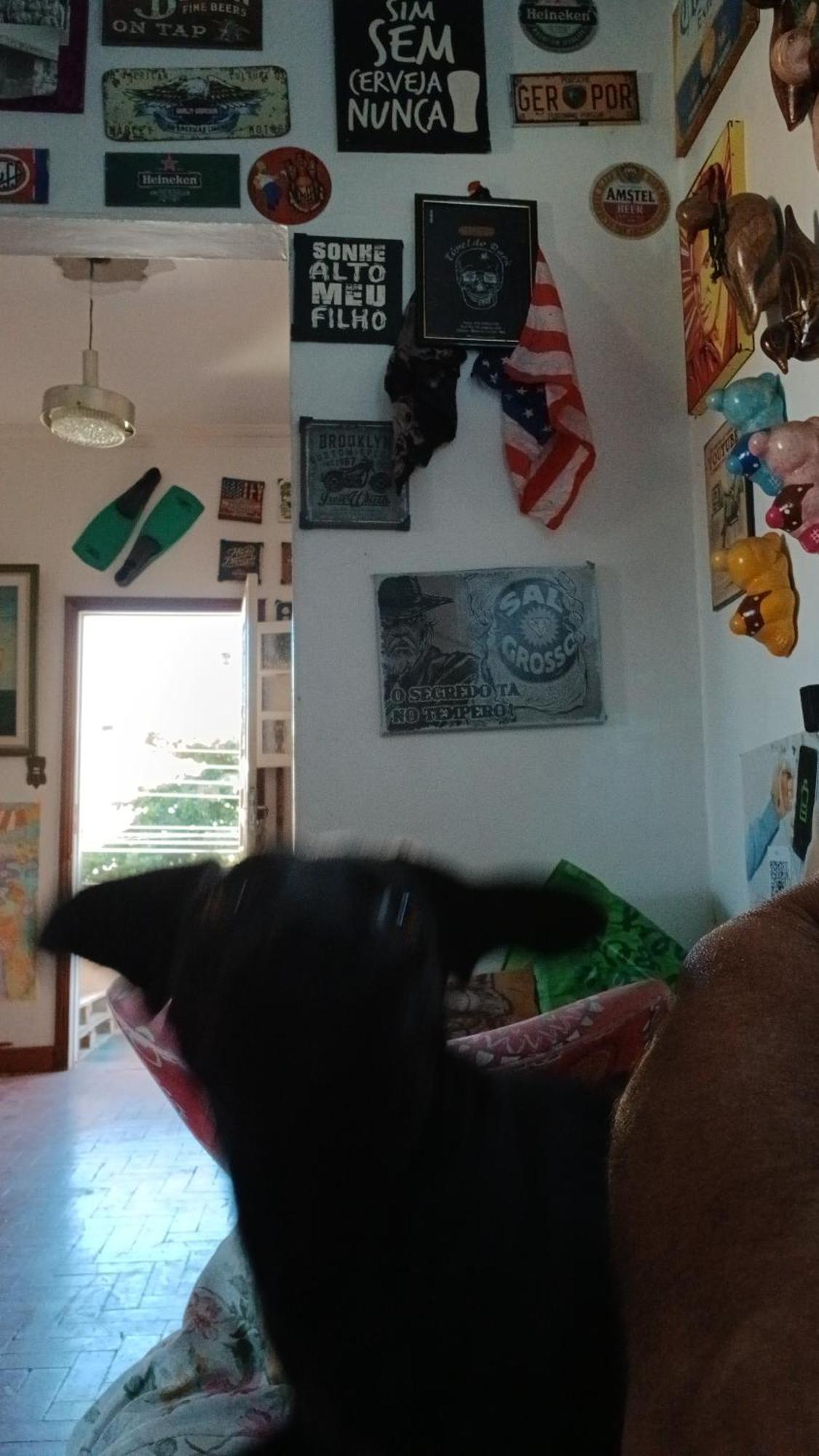 Hostel Jabuticaba Belo Horizonte Dış mekan fotoğraf